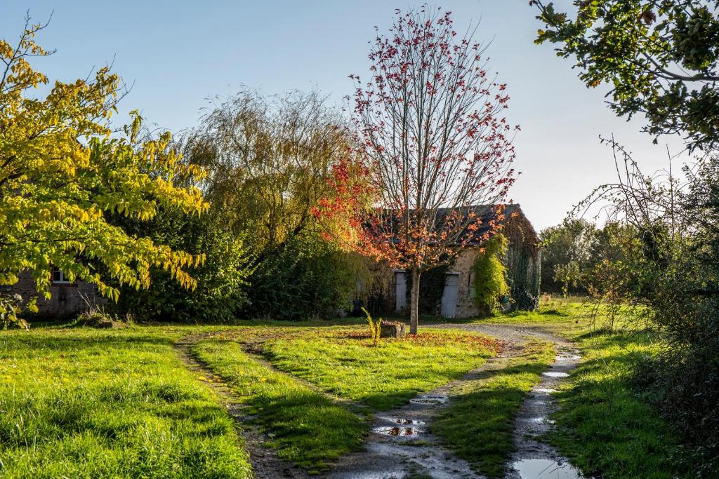 un camino de tierra que conduce a una casa de campo en Valtro le Nid - logement entier proche 24 heures du Mans et Grottes de Saulges, en Saulges