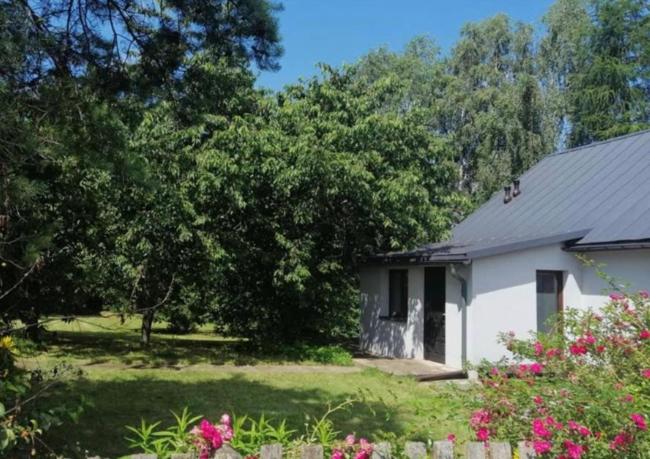 une maison blanche avec des arbres et des fleurs dans la cour dans l'établissement Dom na Podlasiu, à Klepacze