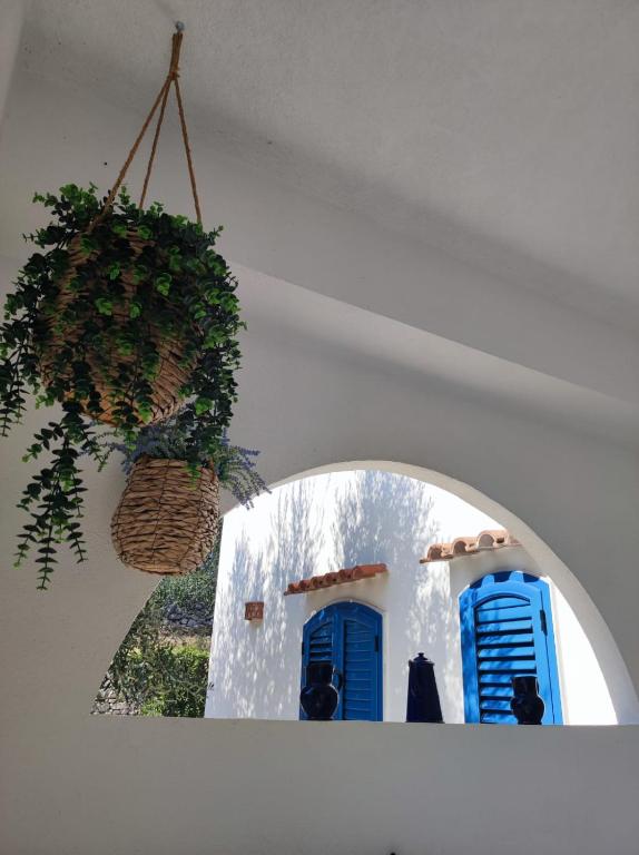 Fotografie z fotogalerie ubytování Dimora Mediterranea v destinaci Mattinata