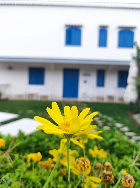 Zahrada ubytování Dimora Mediterranea
