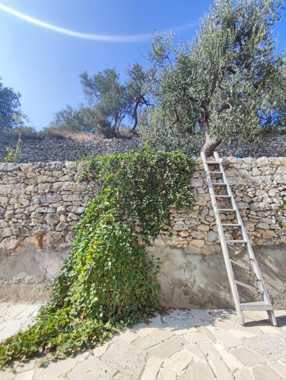 Fotografie z fotogalerie ubytování Dimora Mediterranea v destinaci Mattinata