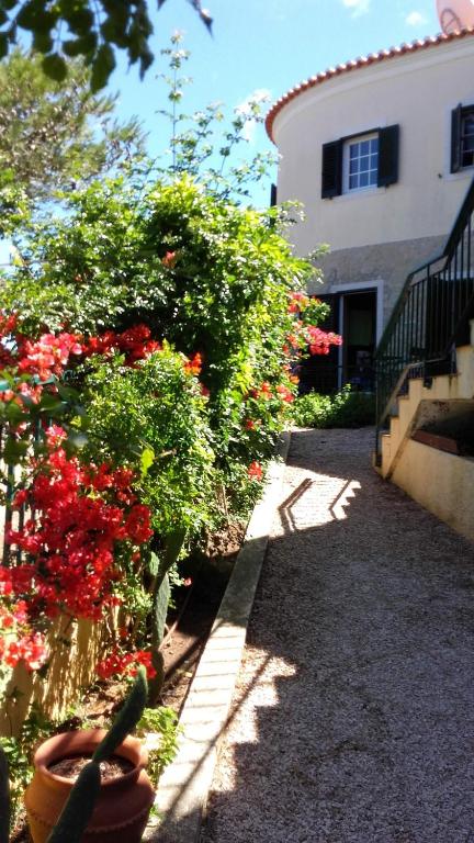 a garden with red flowers and a building at Amazigh Guincho Hostel & Suítes in Cascais