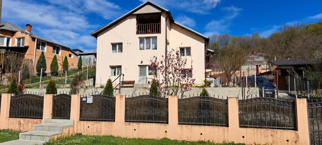 a house behind a fence in front of a house at Casa Diana Govora in Prăjila