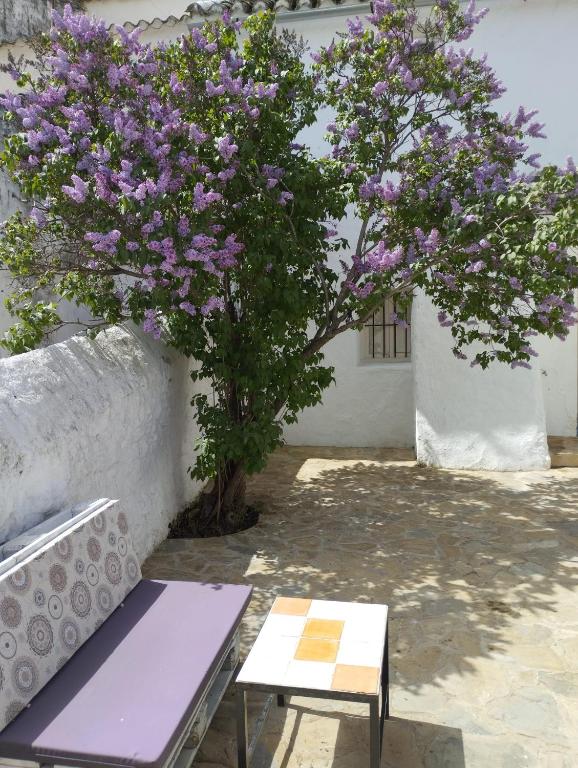 Casa Béjar, Tranquila casa con chimenea, patios, junto a la piscina - Casa De Dos Dormitorios