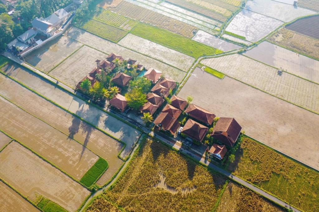 an aerial view of a group of houses in a field at Bhumi Kasuryan Borobudur in Borobudur
