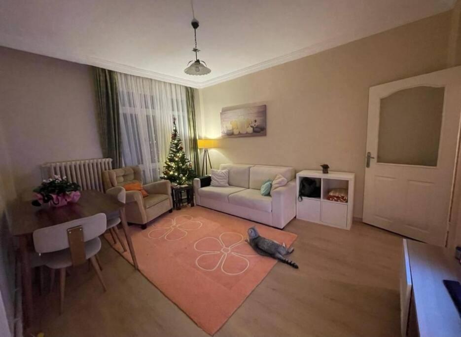 ein Wohnzimmer mit einem Sofa und einem Tisch in der Unterkunft Cosy and fully furnished 2 bedroom apartment in Istanbul