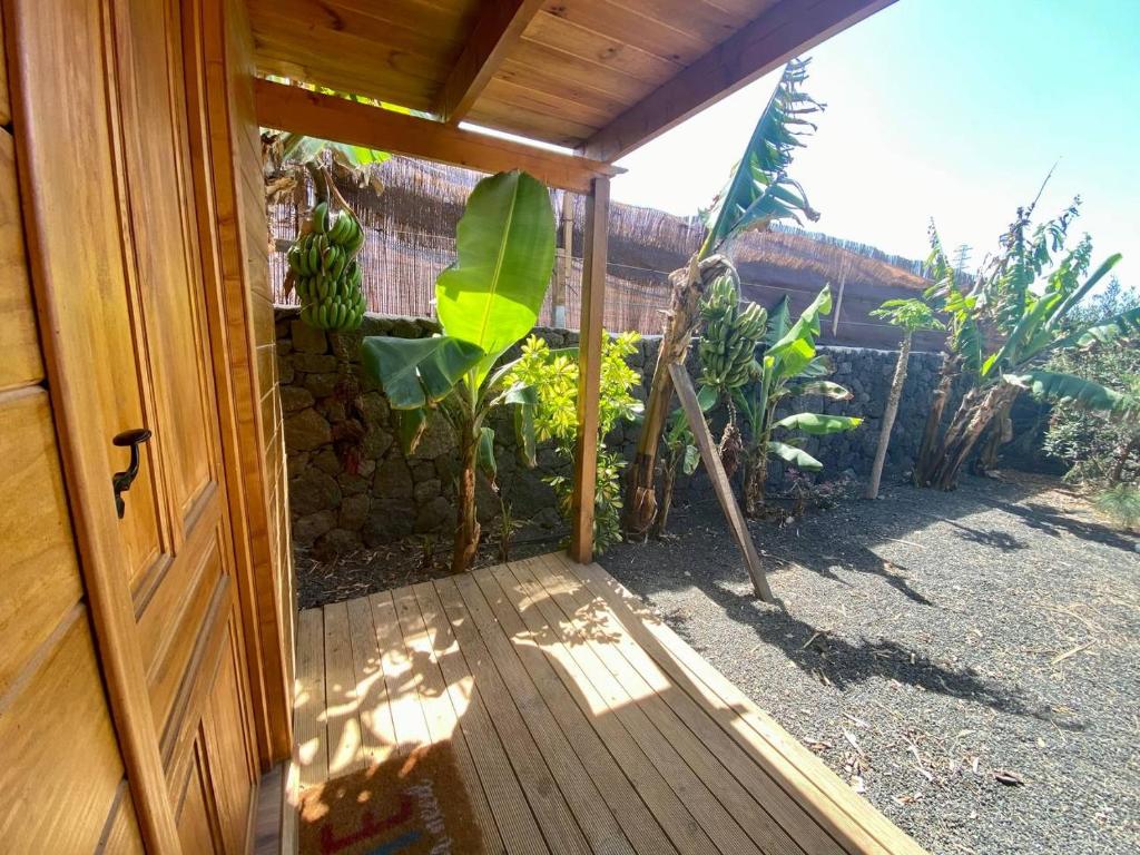 Zahrada ubytování CabanaLanz, Cabañas en Lanzarote