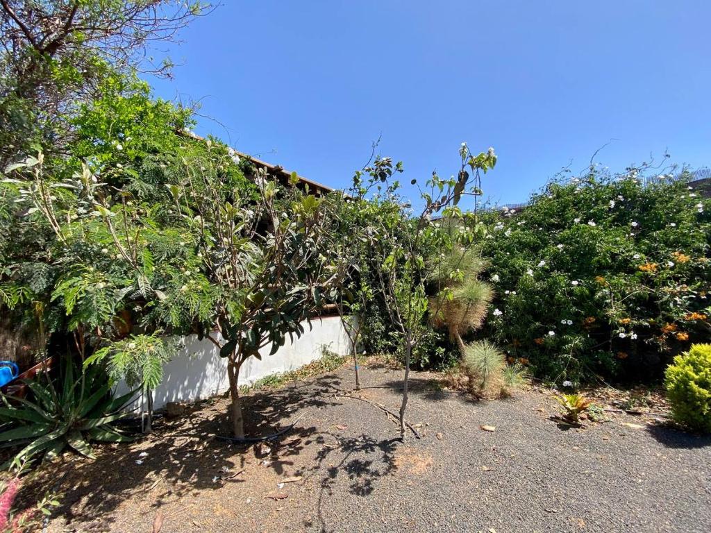 Zahrada ubytování CabanaLanz, Cabañas en Lanzarote