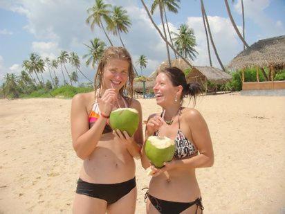 Ospiti di The Alpha Monkey hotel & Tree house