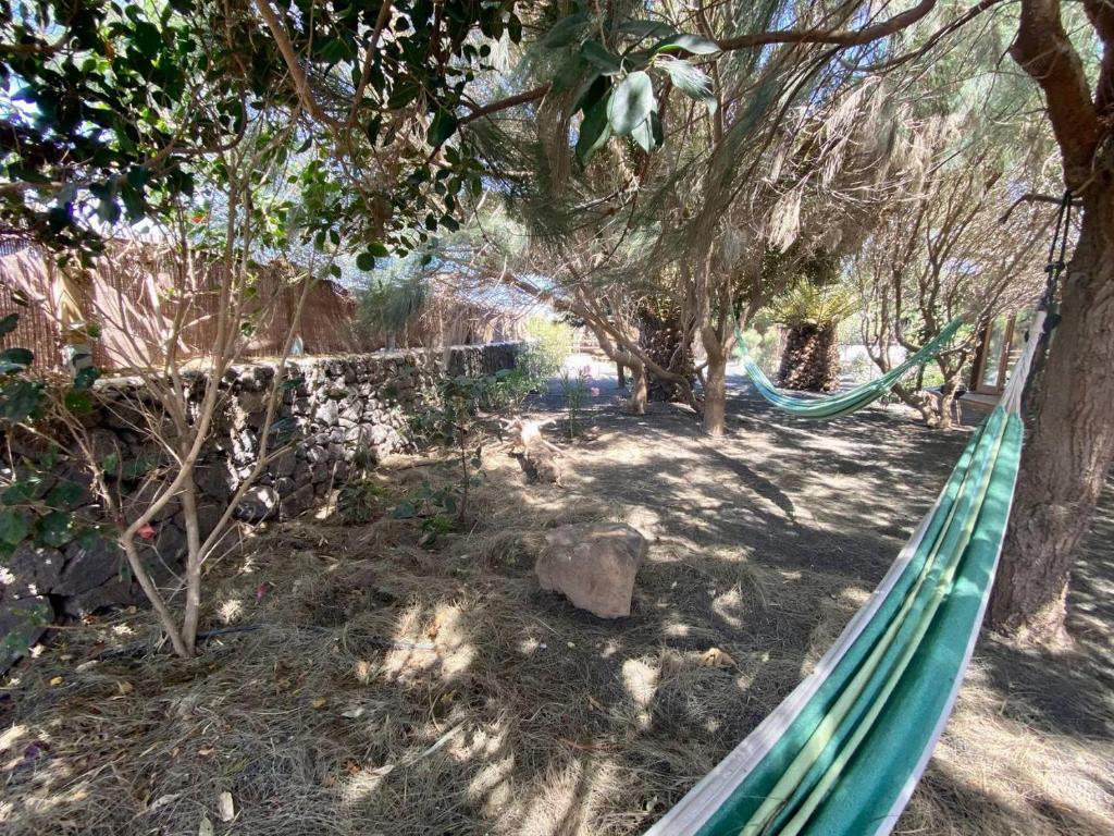 Zahrada ubytování CabanaLanz, Cabañas en Lanzarote