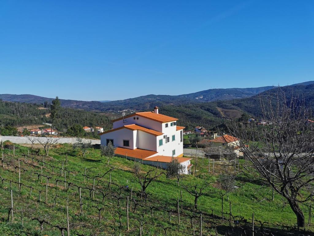 a house on a hill with a green field at Casa Colina Troviscainho in Sertã