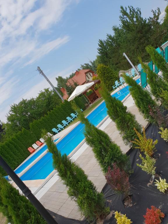 a view of a swimming pool with plants and trees at Pokoje Irys in Kazimierz Dolny
