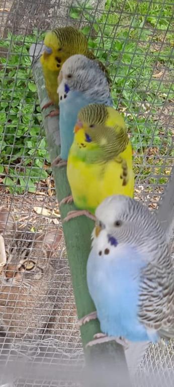 Derechos de imagen reservados por Booking.com