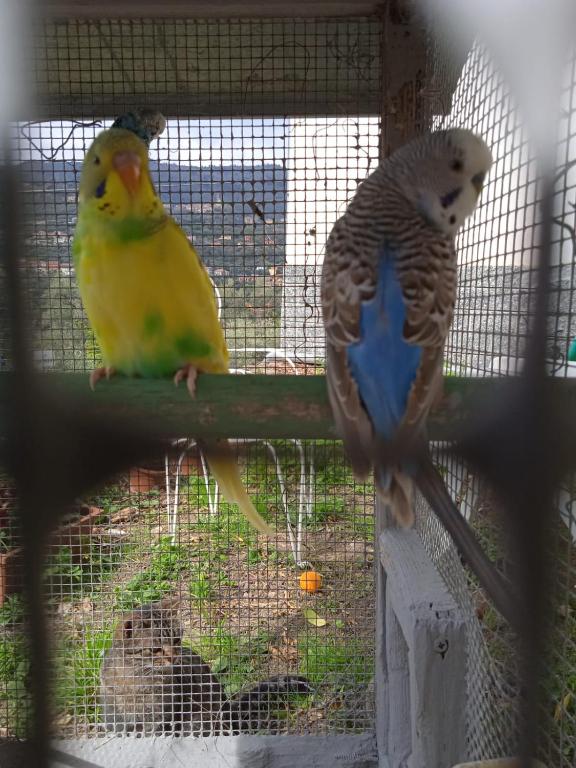 Derechos de imagen reservados por Booking.com