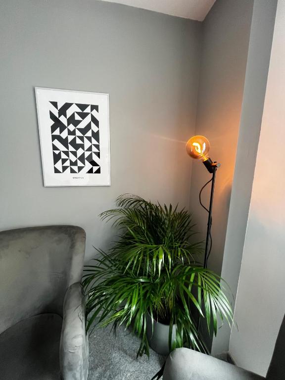 mala me Hotel - Resim 12