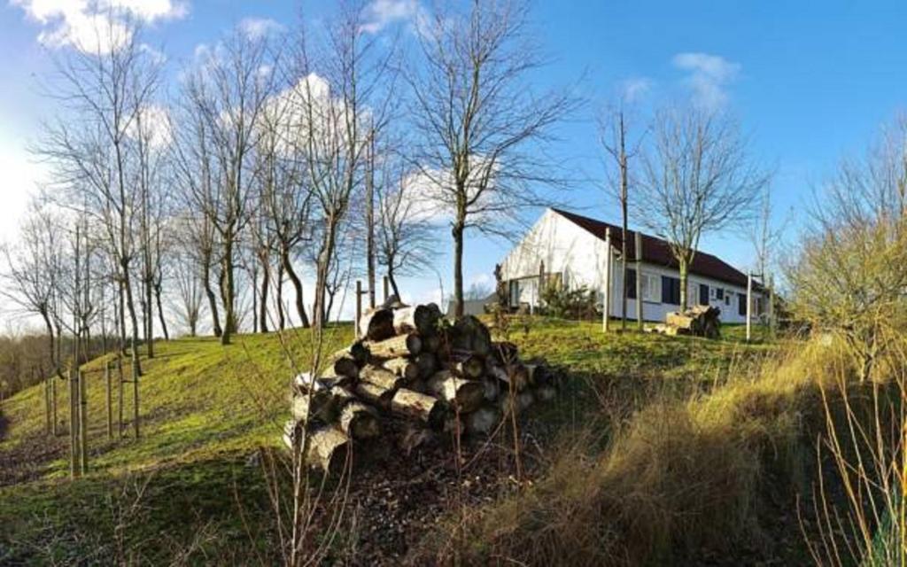 une pile de vaches dans un champ à côté d'une maison dans l'établissement Vakantiewoning Zandhof, à Oostduinkerke