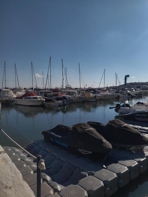 Príroda v okolí apartmánu