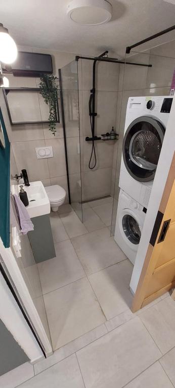 Koupelna v ubytování Apartma Licko