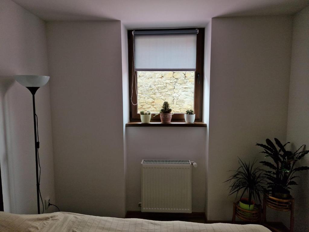 Fotografie z fotogalerie ubytování GIRO Guest House v destinaci Sfântu-Gheorghe