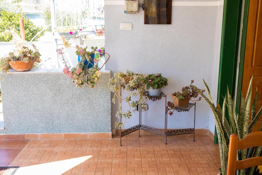 Vila AULONA - Image 12