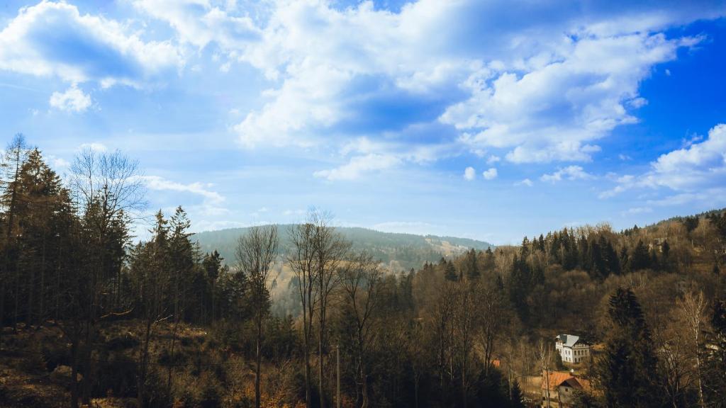 Příroda nedaleko apartmánu