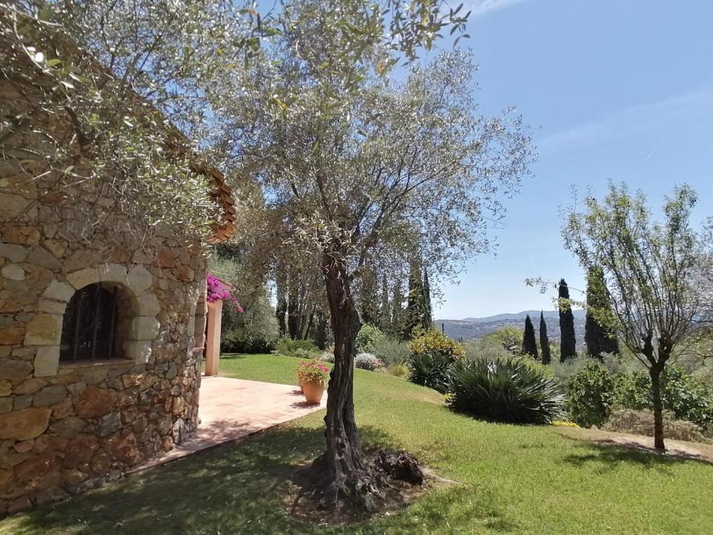 un albero in un cortile accanto a un edificio in pietra di LA PERASCEDA a Spéracèdes