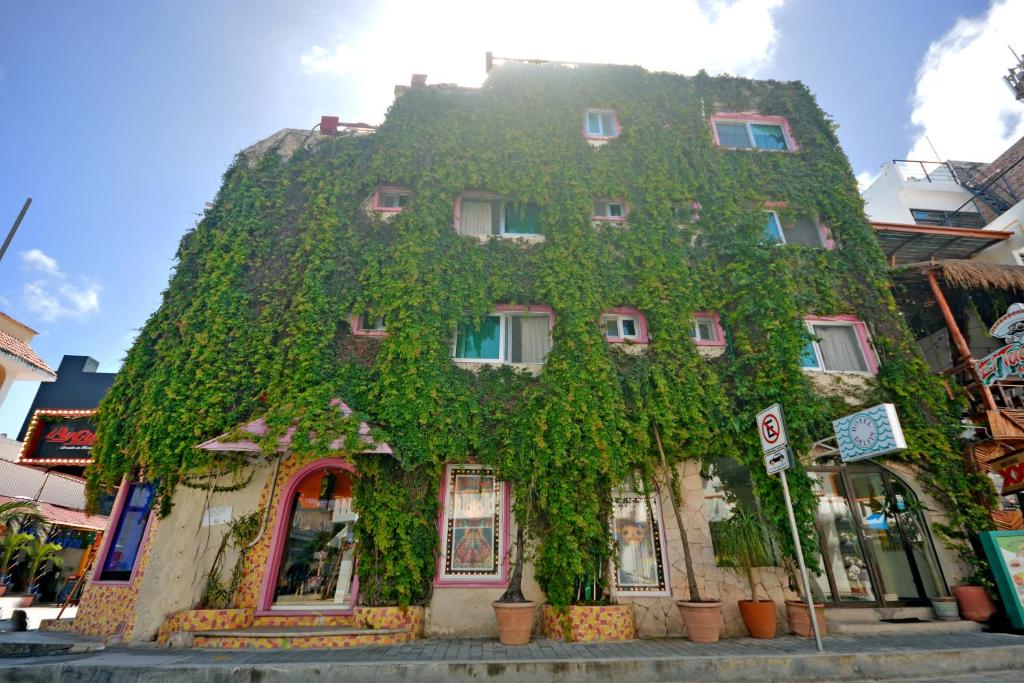 a building covered in ivy on a street at Hotel Delfin in Playa del Carmen