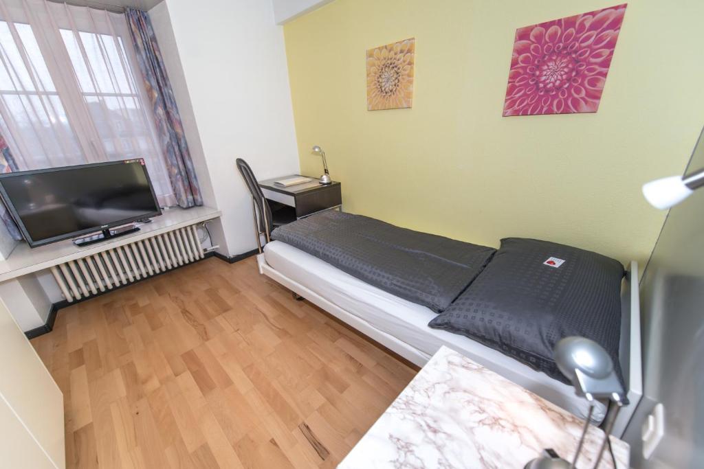 TV a/nebo společenská místnost v ubytování Hotel Rotes Haus