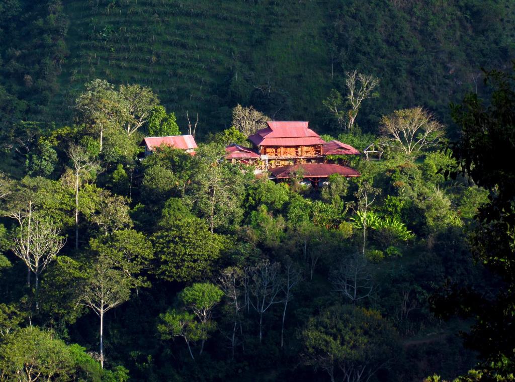 een huis midden in een bos van bomen bij El Encanto Nature Reserve in Palestina