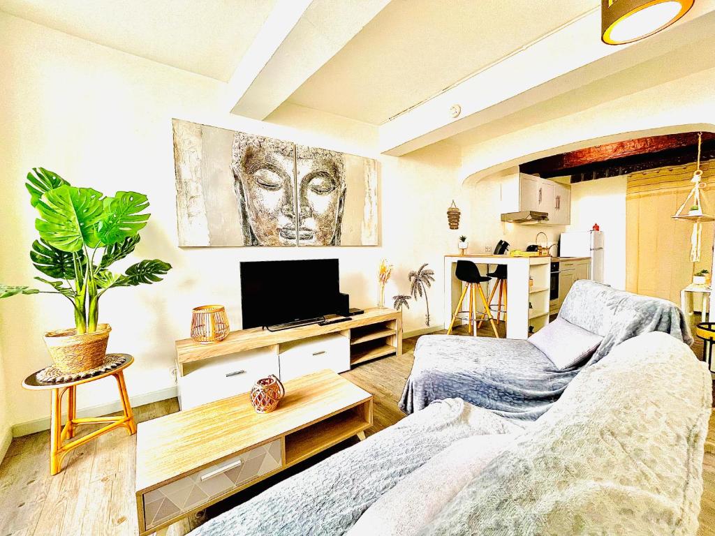 Telewizja i/lub zestaw kina domowego w obiekcie *Le Sahara*Hyper Centre*Wifi*