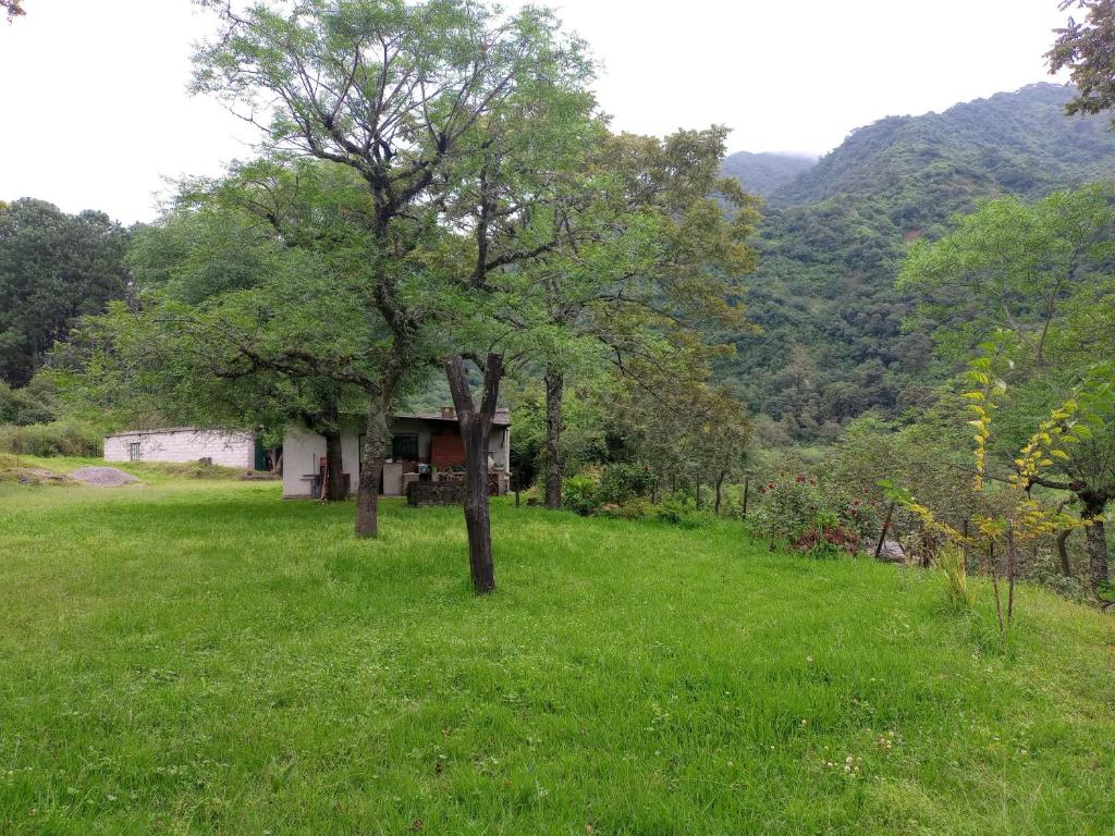 una casa en un campo con un árbol en Las Horquetas casa de campo in 