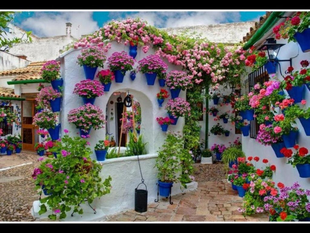 a building with lots of potted plants and flowers at Villa Aries in Marbella