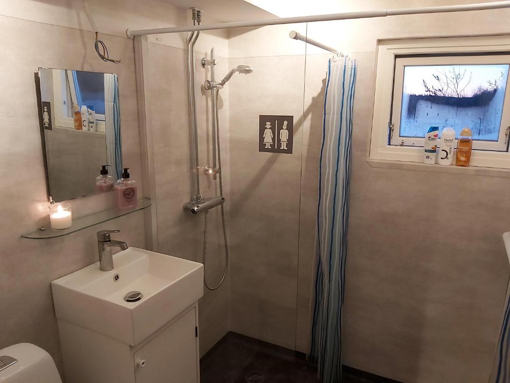 uma casa de banho com um chuveiro, um lavatório e um WC. em Countrycabin Bergslagen stuga em Ramsberg