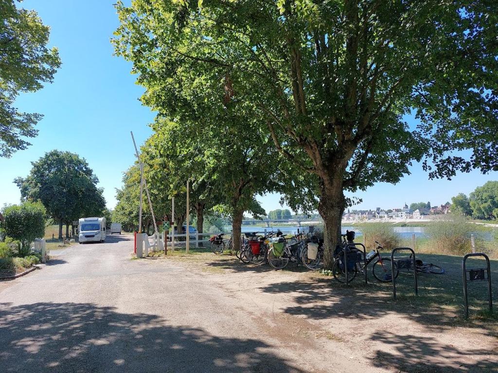 Una fila de bicicletas estacionadas bajo un árbol al lado de un río. en Camping La Maltournée en Sigloy