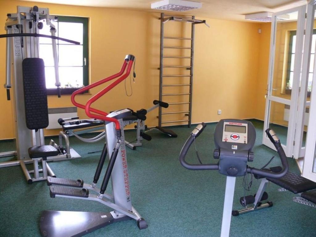 Fitness centrum a/nebo fitness zařízení v ubytování Hotel na Jezeře