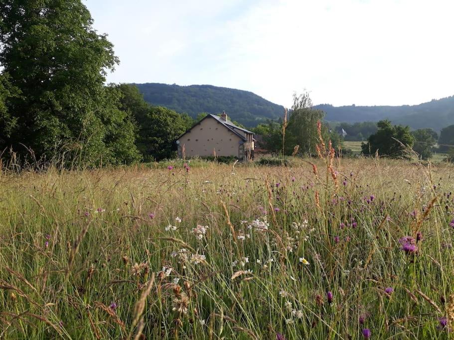 Příroda nedaleko bed and breakfast