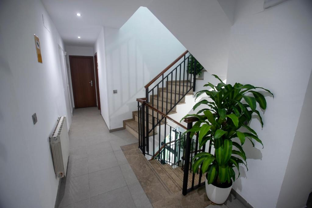 Vitium Córdoba - Resim 13