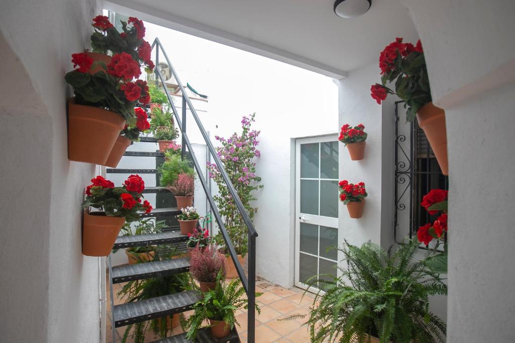 Vitium Córdoba - Resim 11