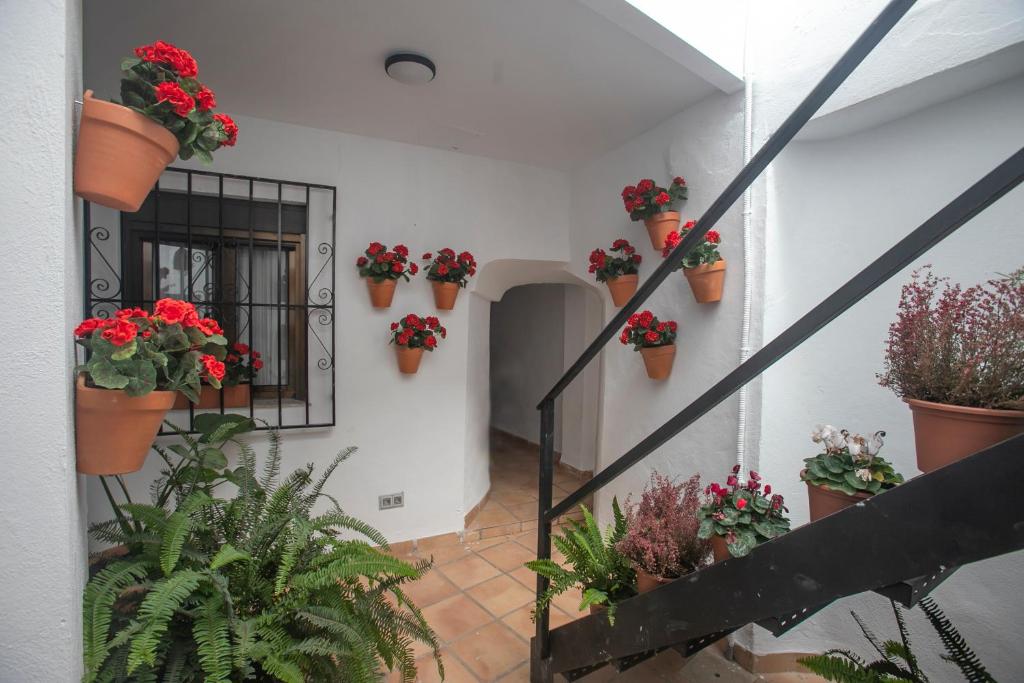 Vitium Córdoba - Resim 15