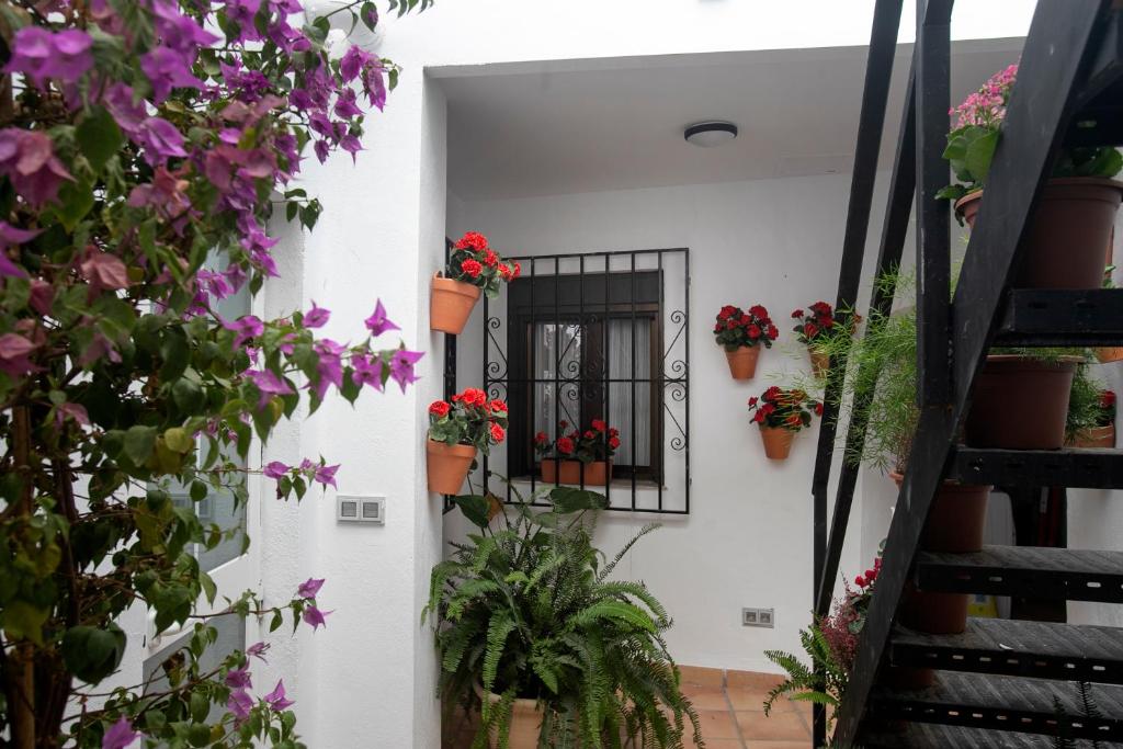 Vitium Córdoba - Resim 18