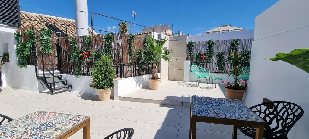 Vitium Córdoba - Resim 21