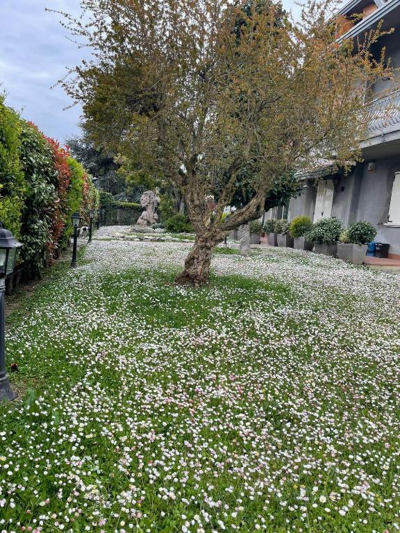 Zahrada ubytování Magnolia