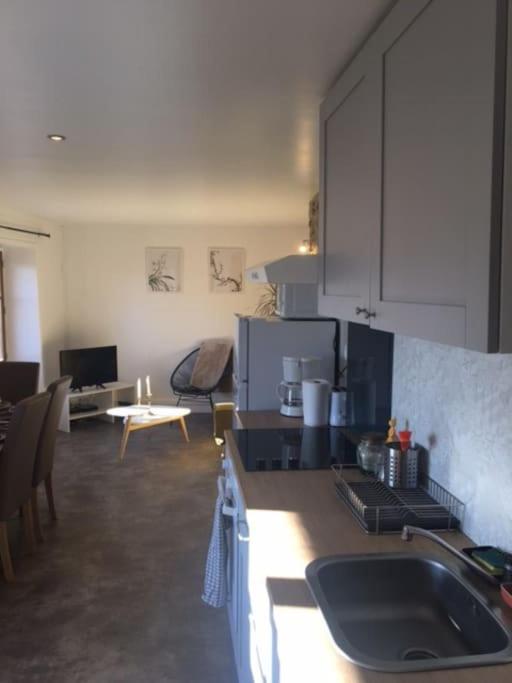 Kuchyňa alebo kuchynka v ubytovaní Joli appartement Les Archers