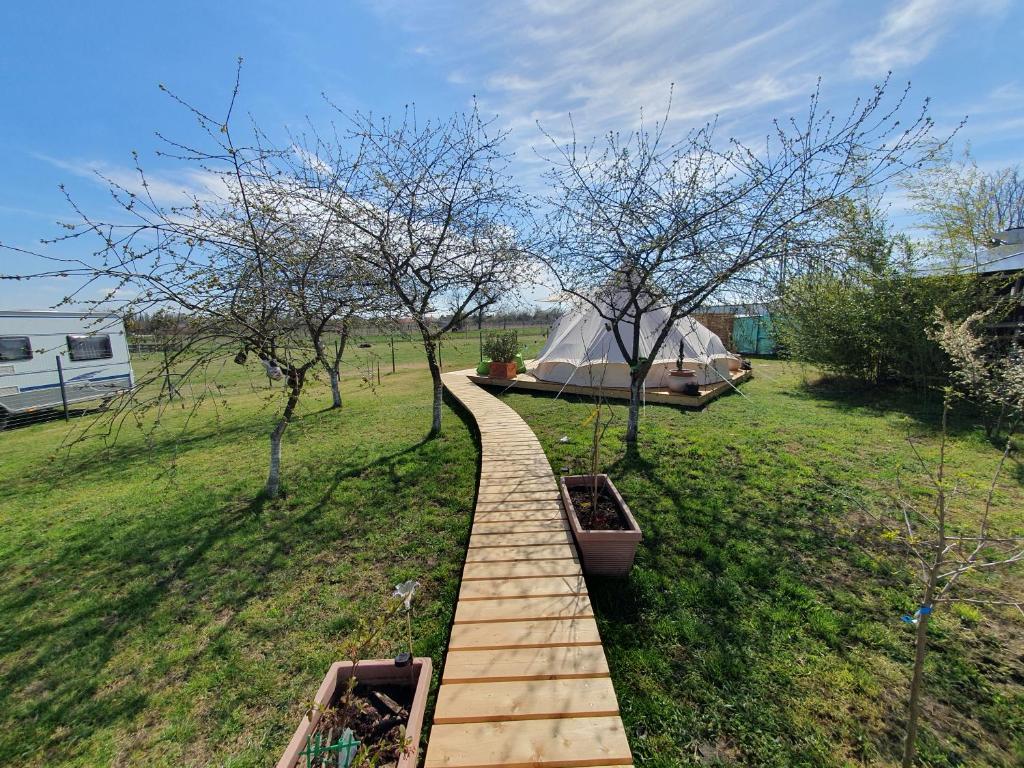 einen Holzweg auf einem Feld mit Bäumen und einem Zelt in der Unterkunft Farm Glamping Ráckeve in Ráckeve