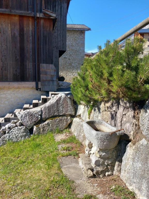Aed väljaspool majutusasutust Chalet La Rite Dolomiti