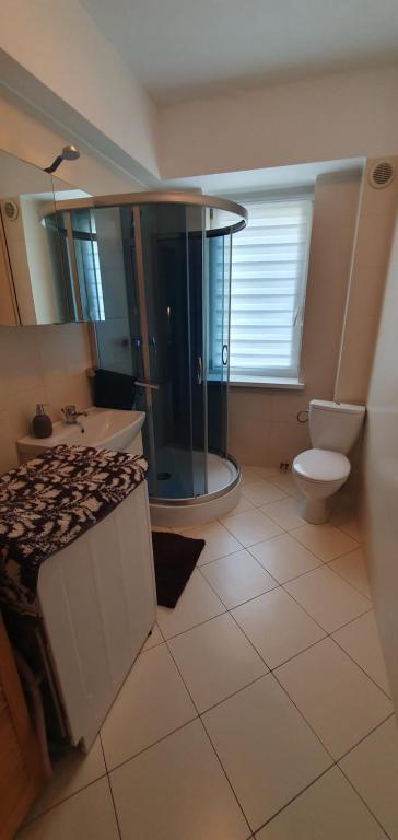 a bathroom with a toilet and a sink and a shower at Apartament Kamień Pomorski in Kamień Pomorski