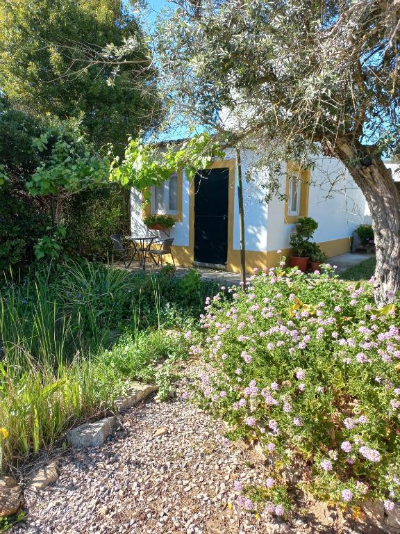 Quinta Do Cano - Studio Met Uitzicht Op De Tuin