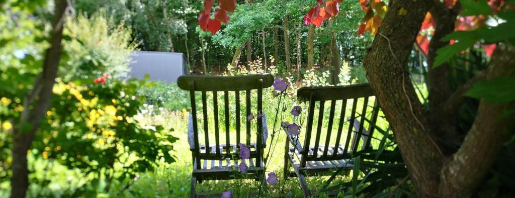 two chairs sitting next to a tree in a garden at Ferienwohnungen Pesenbachtal in Herzogsdorf
