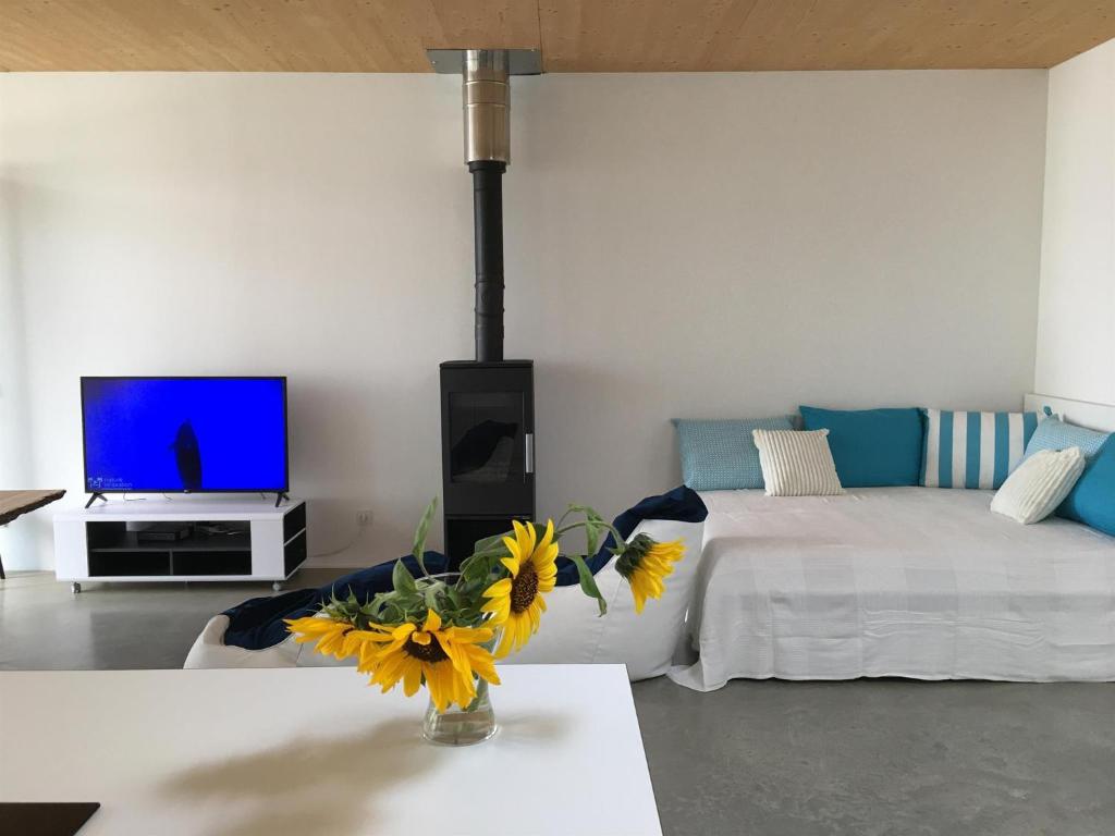 Televiisor ja/või meelelahutuskeskus majutusasutuses Ferienhaus am See Neusiedl