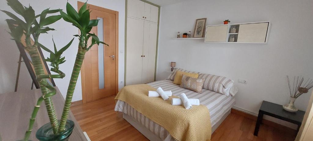 uma sala de estar com um sofá e uma planta em Rúa dos Concheiros, 7 Apartamento em Santiago de Compostela